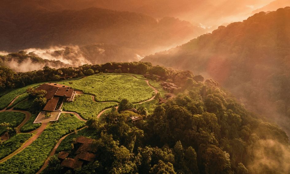 One&Only Nyungwe House