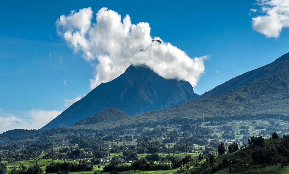 One&Only Gorilla's Nest