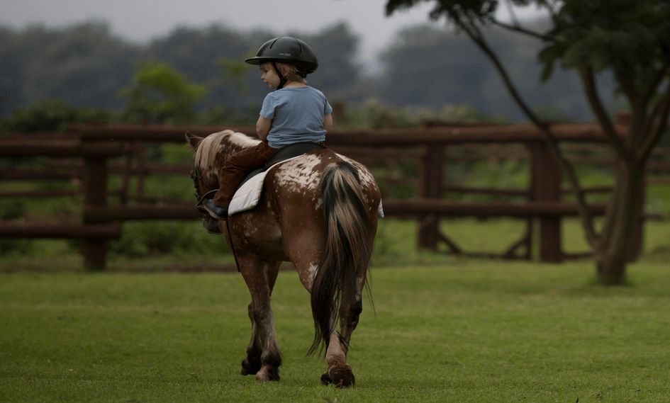 Elewana The Manor at Ngorongoro