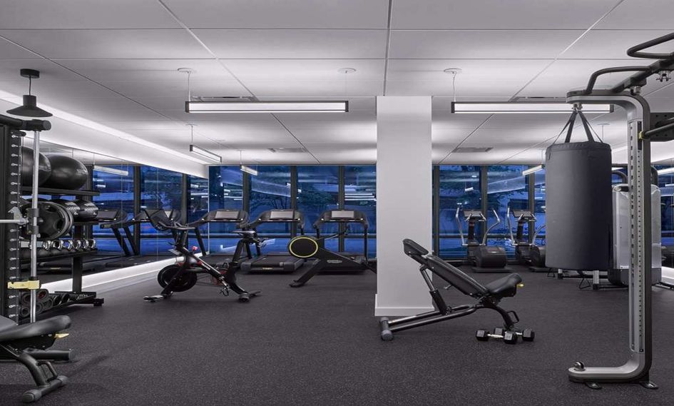 C. Baldwin, Curio Collection by Hilton