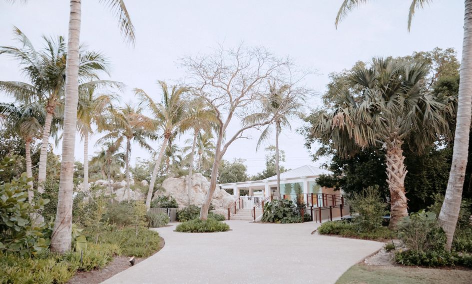 Baker's Cay Resort Key Largo, Curio Collection by Hilton