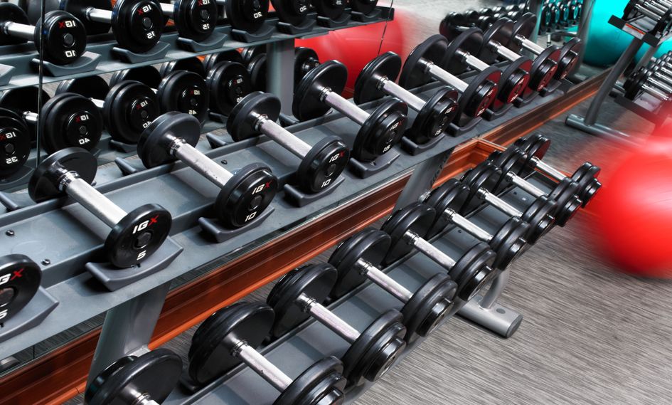 The Jay, Autograph Collection