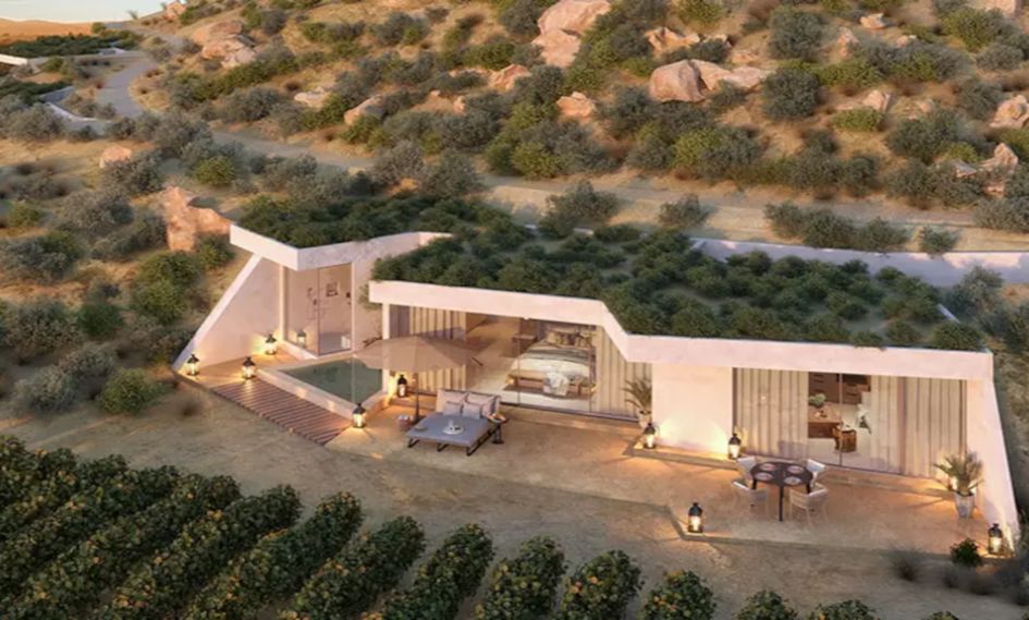 Banyan Tree Veya, Valle de Guadalupe