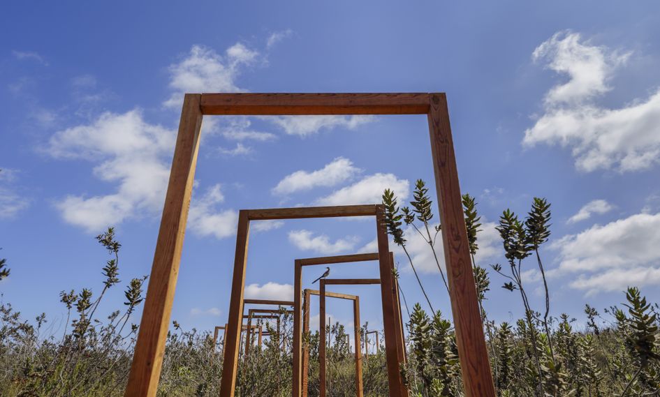 Banyan Tree Veya, Valle de Guadalupe