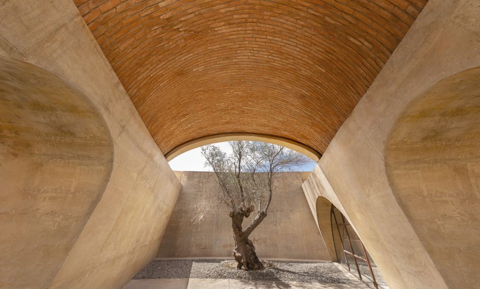 Banyan Tree Veya, Valle de Guadalupe