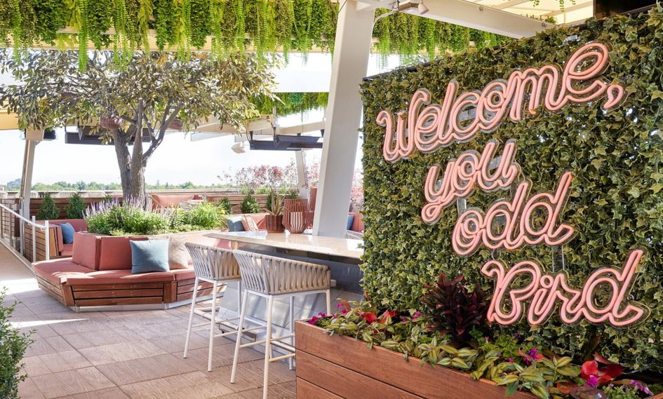 Halcyon, a hotel in Cherry Creek