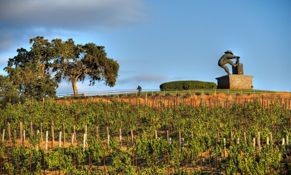 Grand Reserve at The Meritage