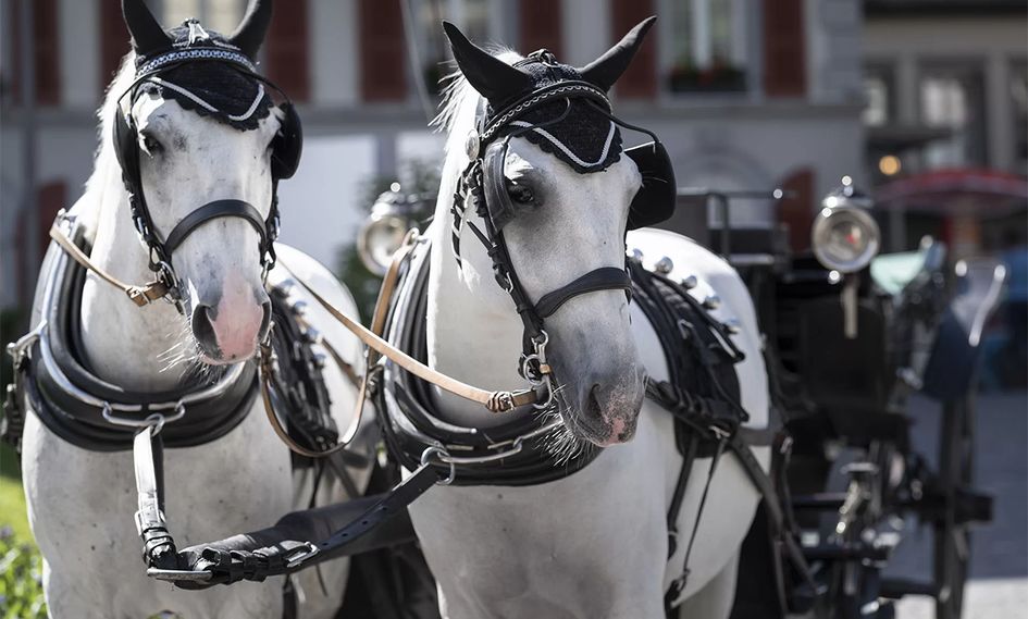 Grand Hotel Zermatterhof