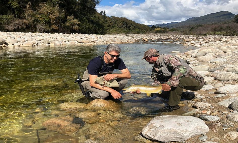 The Marlborough - Boutique Hotel & Vineyard