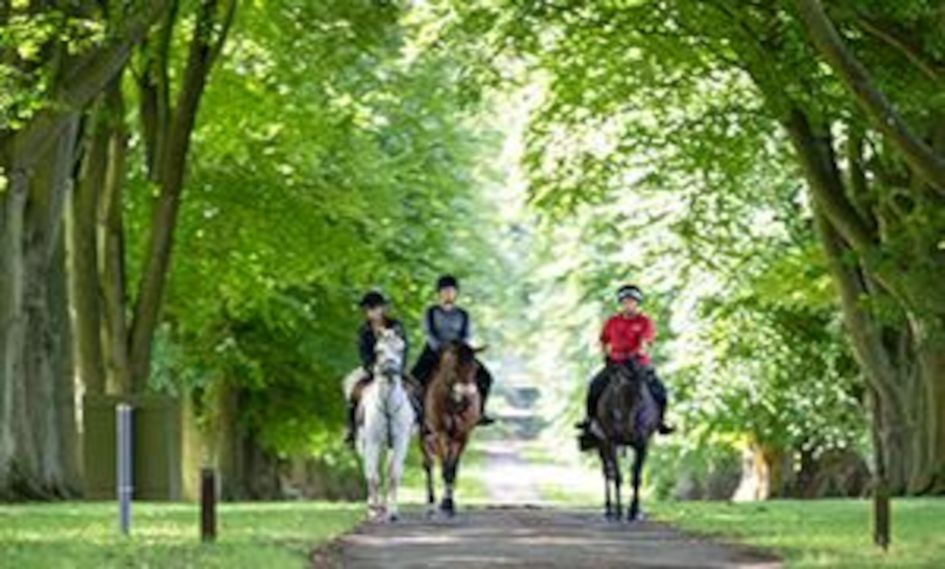 Lucknam Park Hotel & Spa 