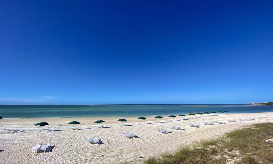 Hyatt Regency Coconut Point Resort and Spa