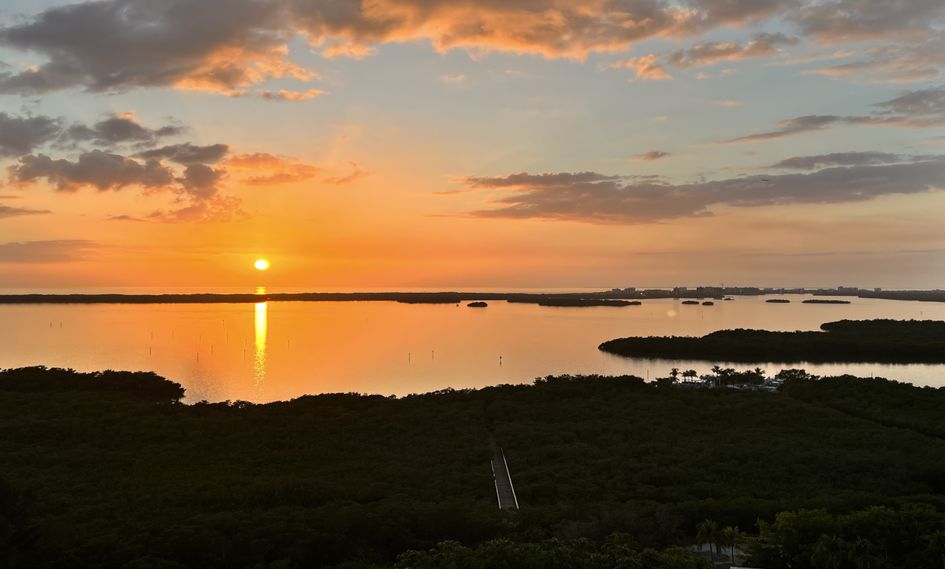 Hyatt Regency Coconut Point Resort and Spa
