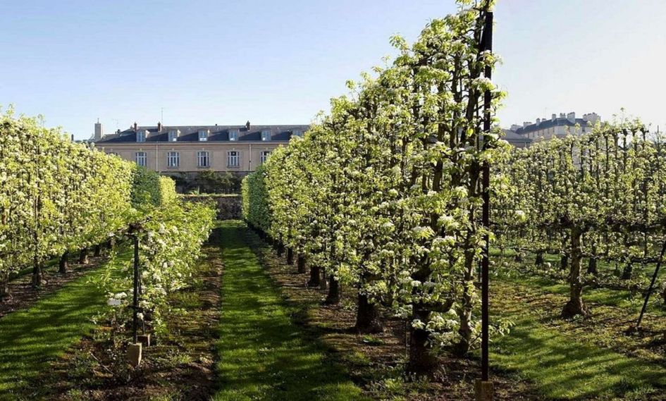 Waldorf Astoria Versailles - Trianon Palace