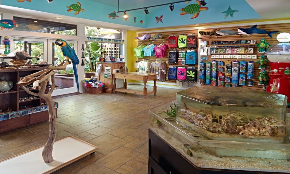 Omni Amelia Island Resort