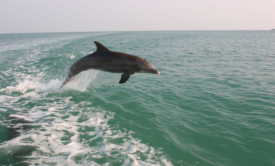 The Moorings Village