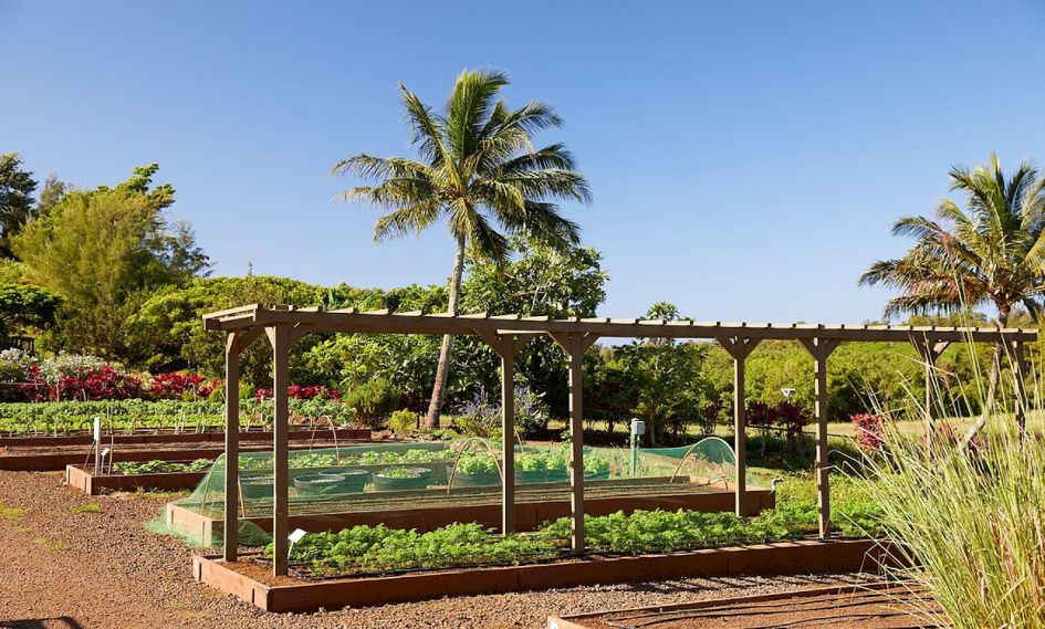 The Lodge at Kukui'ula