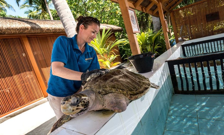 Four Seasons Resort Maldives at Landaa Giraavaru