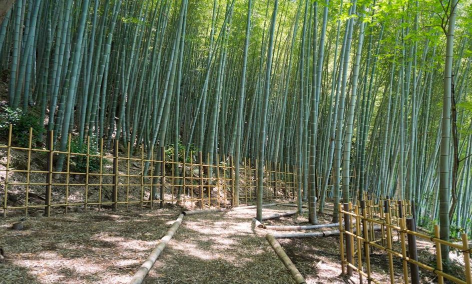 Banyan Tree Higashiyama Kyoto