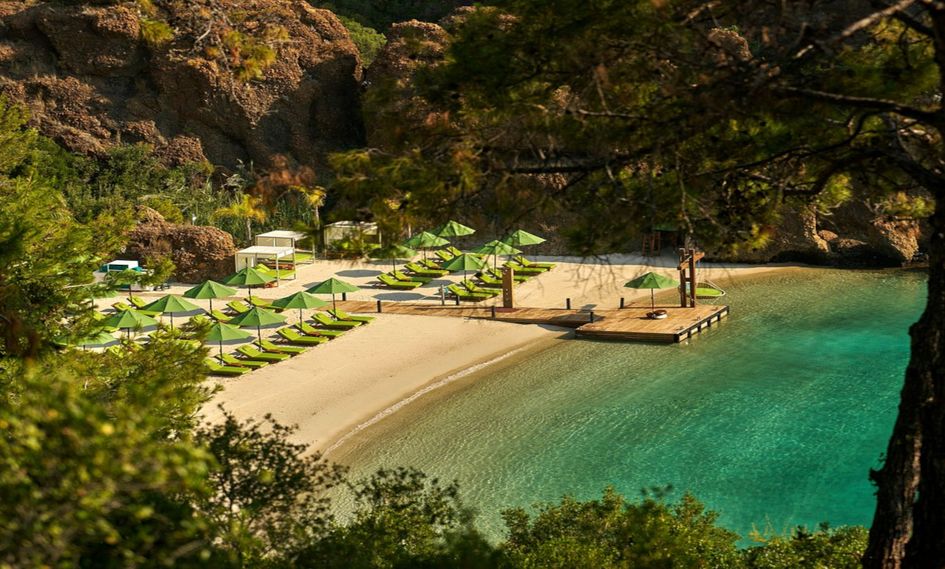 D Maris Bay